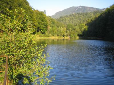 Reiki-09.06-27.JPG