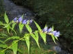 Reiki-09.06-17.JPG