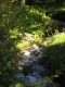Reiki-09.06-14.JPG
